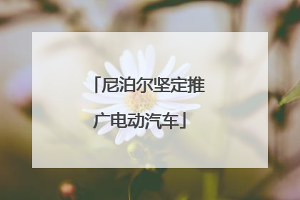 尼泊尔坚定推广电动汽车