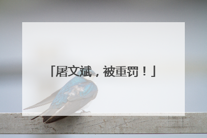 屠文斌，被重罚！