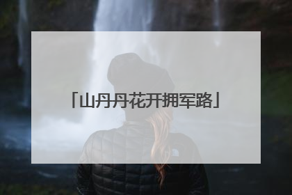 山丹丹花开拥军路