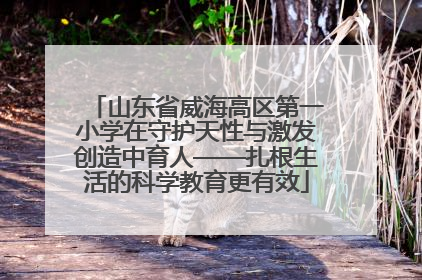 山东省威海高区第一小学在守护天性与激发创造中育人——扎根生活的科学教育更有效