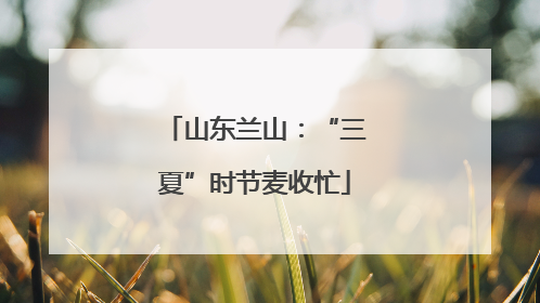 山东兰山：“三夏”时节麦收忙