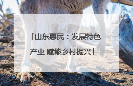 山东惠民：发展特色产业 赋能乡村振兴