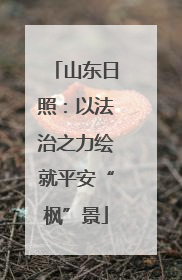 山东日照：以法治之力绘就平安“枫”景