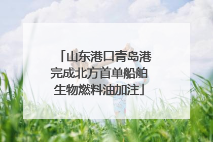 山东港口青岛港完成北方首单船舶生物燃料油加注