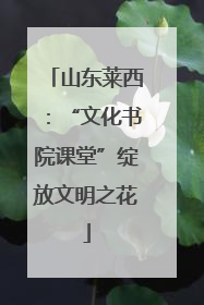 山东莱西：“文化书院课堂”绽放文明之花