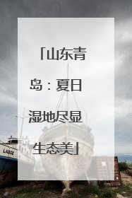 山东青岛：夏日湿地尽显生态美
