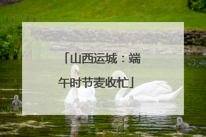 山西运城：端午时节麦收忙