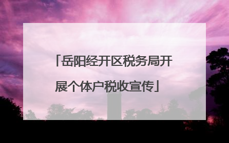 岳阳经开区税务局开展个体户税收宣传