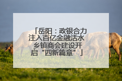 岳阳：政银合力注入百亿金融活水 乡镇商会建设开启“四新篇章”