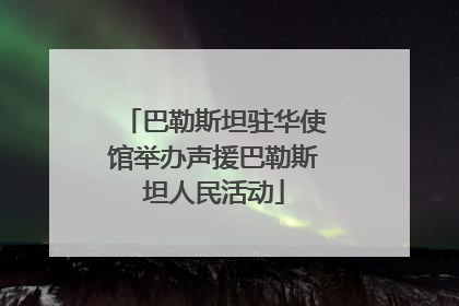 巴勒斯坦驻华使馆举办声援巴勒斯坦人民活动