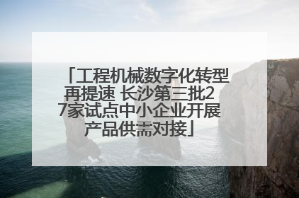 工程机械数字化转型再提速 长沙第三批27家试点中小企业开展产品供需对接