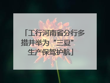 工行河南省分行多措并举为“三夏” 生产保驾护航