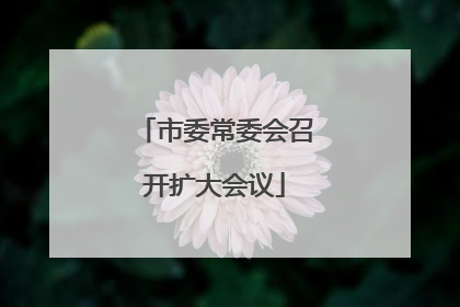 市委常委会召开扩大会议