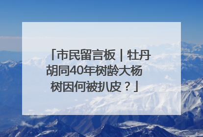 市民留言板｜牡丹胡同40年树龄大杨树因何被扒皮？