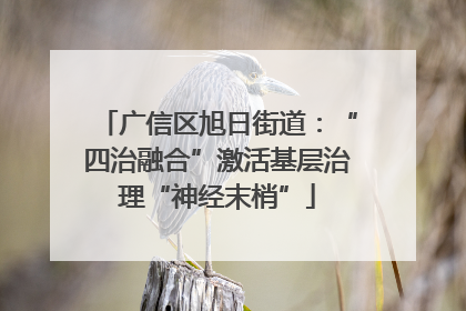 广信区旭日街道：“四治融合”激活基层治理“神经末梢”