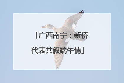 广西南宁：新侨代表共叙端午情
