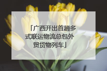 广西开出首趟多式联运物流总包外贸货物列车