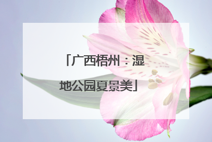 广西梧州：湿地公园夏景美