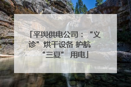 平舆供电公司：“义诊”烘干设备 护航 “三夏” 用电