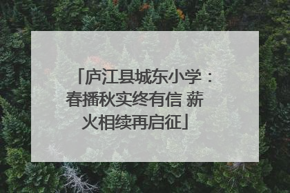 庐江县城东小学：春播秋实终有信 薪火相续再启征