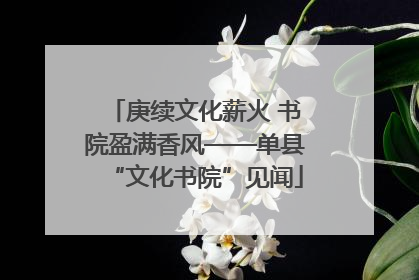 庚续文化薪火 书院盈满香风——单县“文化书院”见闻