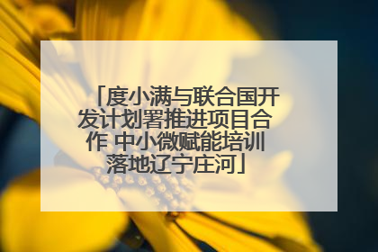 度小满与联合国开发计划署推进项目合作 中小微赋能培训落地辽宁庄河