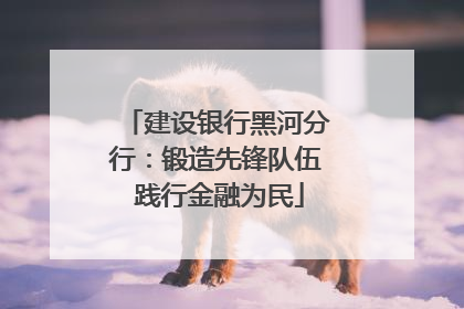 建设银行黑河分行：锻造先锋队伍 践行金融为民