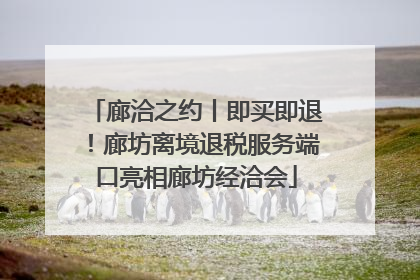 廊洽之约丨即买即退！廊坊离境退税服务端口亮相廊坊经洽会