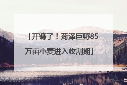 开镰了！菏泽巨野85万亩小麦进入收割期