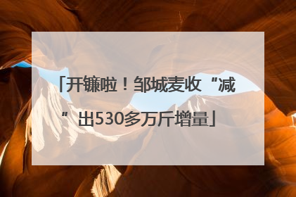 开镰啦！邹城麦收“减”出530多万斤增量