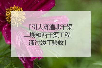 引大济湟北干渠二期和西干渠工程通过竣工验收