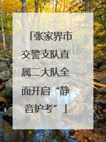 张家界市交警支队直属二大队全面开启“静音护考”