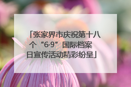 张家界市庆祝第十八个“6·9”国际档案日宣传活动精彩纷呈