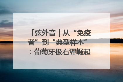 弦外音｜从“免疫者”到“典型样本”：葡萄牙极右翼崛起背后的欧洲困局