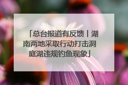 总台报道有反馈丨湖南两地采取行动打击洞庭湖违规钓鱼现象