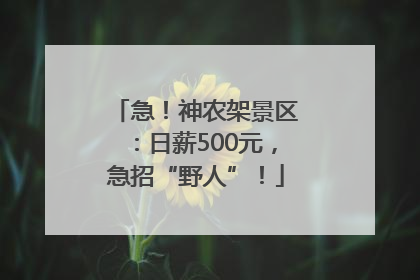 急！神农架景区：日薪500元，急招“野人”！