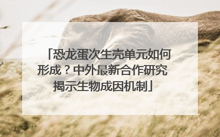 恐龙蛋次生壳单元如何形成？中外最新合作研究揭示生物成因机制