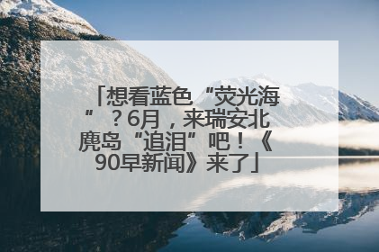 想看蓝色“荧光海”？6月，来瑞安北麂岛“追泪”吧！《90早新闻》来了