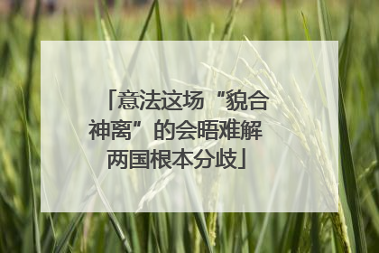 意法这场“貌合神离”的会晤难解两国根本分歧