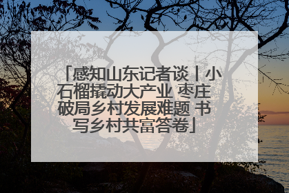 感知山东记者谈丨小石榴撬动大产业 枣庄破局乡村发展难题 书写乡村共富答卷
