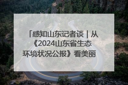 感知山东记者谈｜从《2024山东省生态环境状况公报》看美丽山东建设的“成绩单”与“任务书”