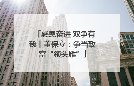 感恩奋进 双争有我丨董保立：争当致富“领头雁”