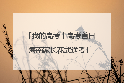 我的高考丨高考首日 海南家长花式送考
