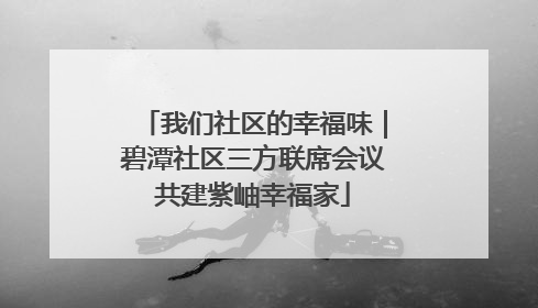 我们社区的幸福味｜碧潭社区三方联席会议共建紫岫幸福家