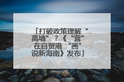 打破政策理解“高墙”？《“营”在自贸港 “画”说新海南》发布