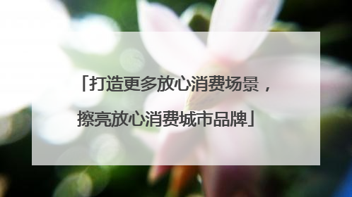 打造更多放心消费场景，擦亮放心消费城市品牌