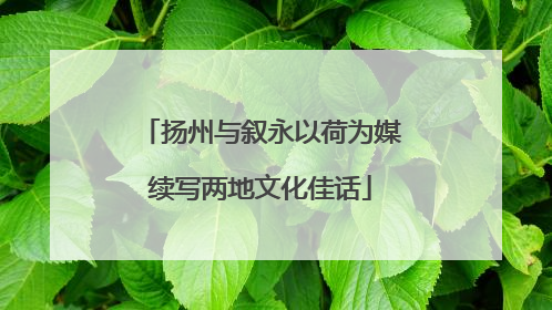 扬州与叙永以荷为媒续写两地文化佳话