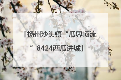 扬州沙头镇“瓜界顶流”8424西瓜进城