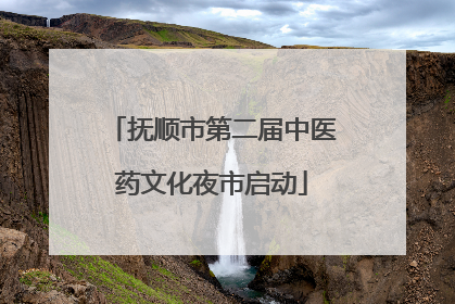抚顺市第二届中医药文化夜市启动