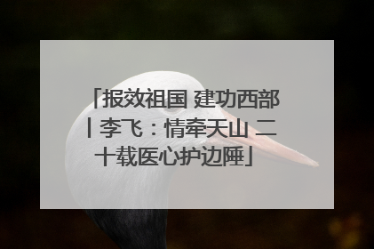 报效祖国 建功西部丨李飞：情牵天山 二十载医心护边陲
